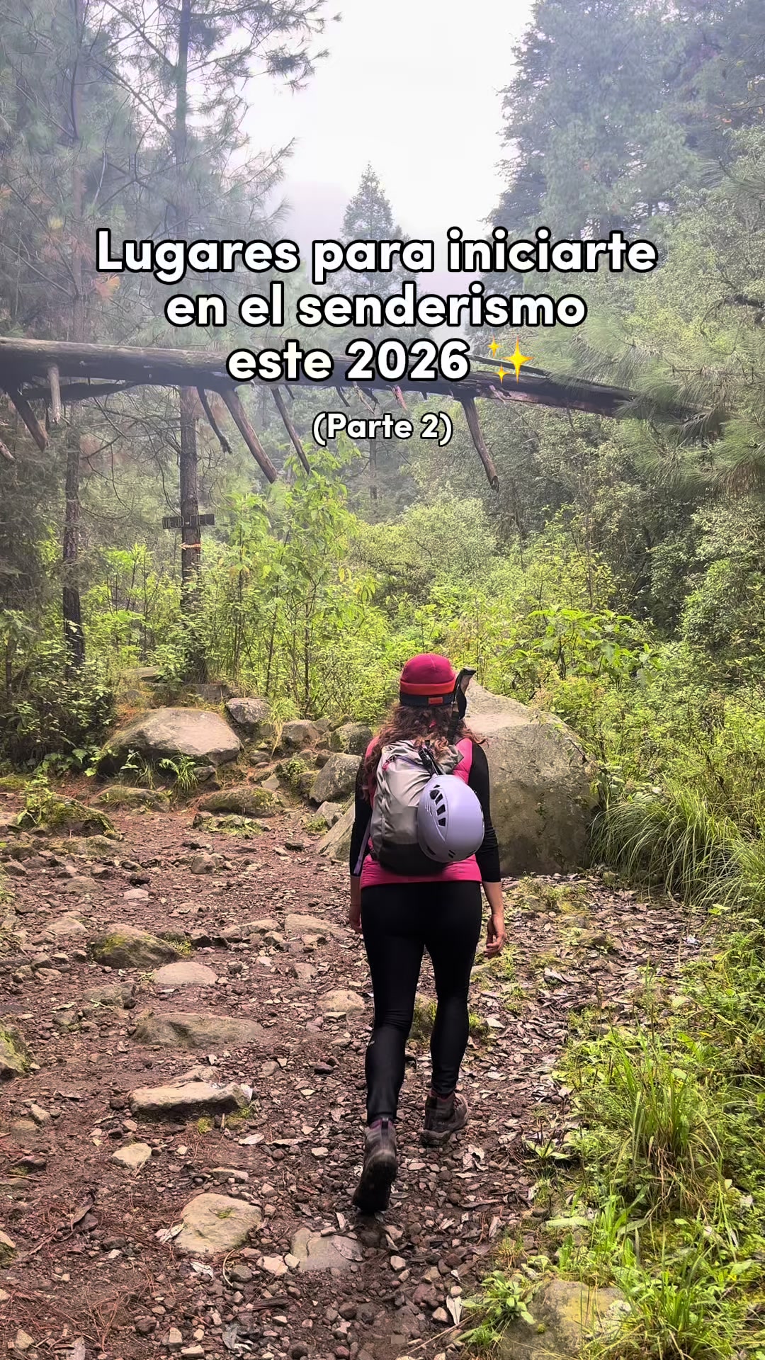 @Denisse Gp