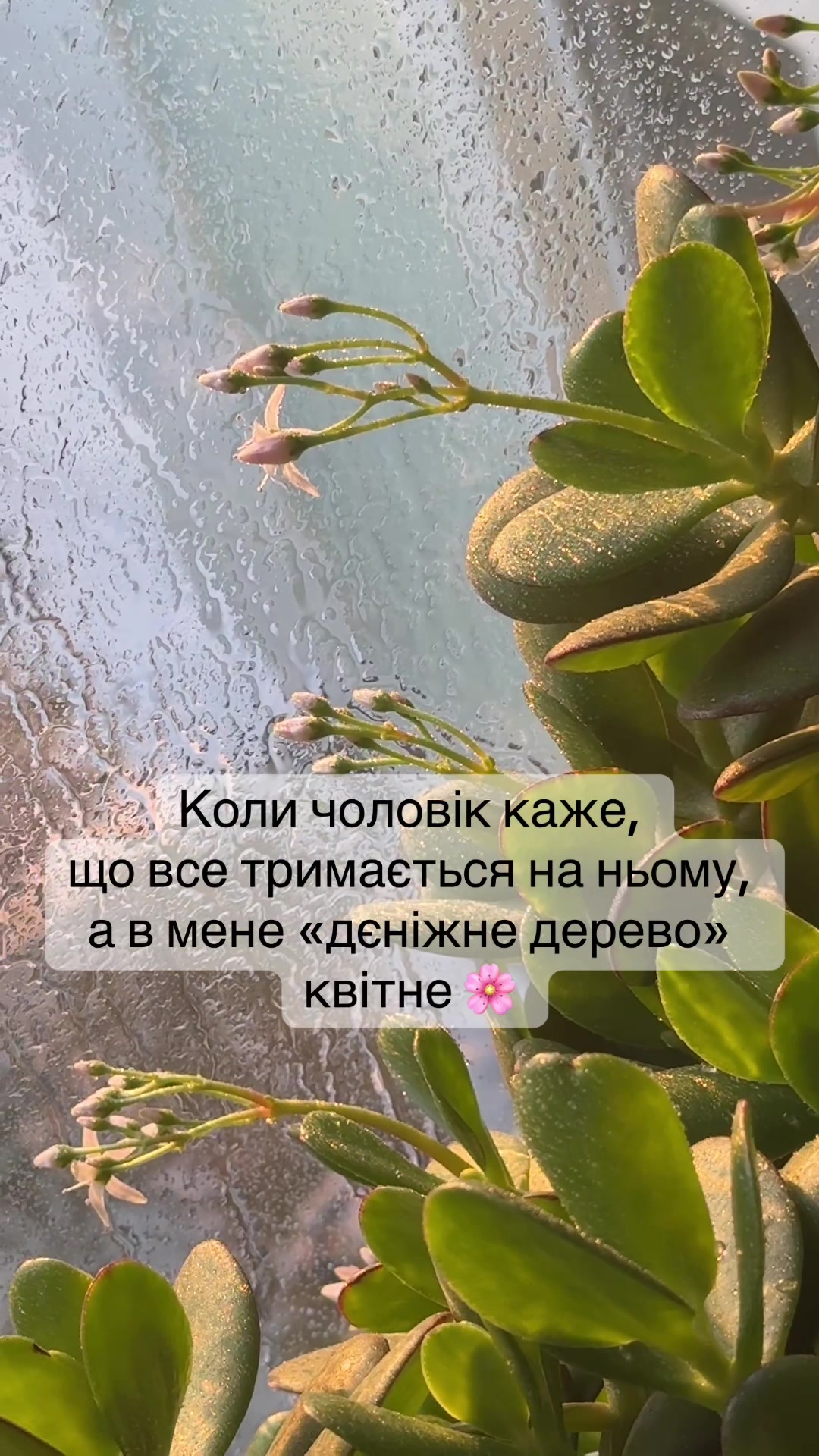 @keit_sad