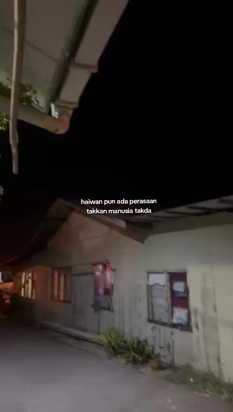 @vanessa bf's