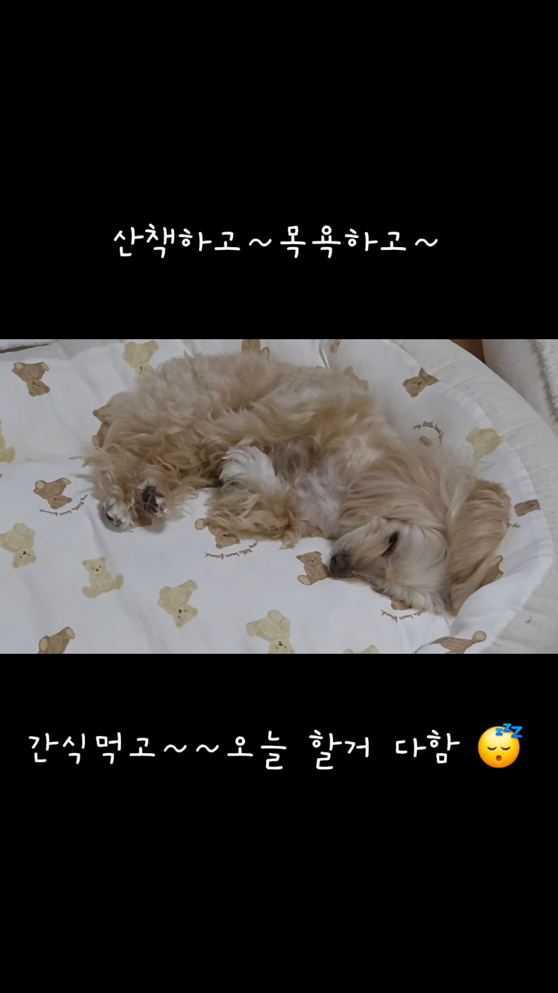 @토리엄마