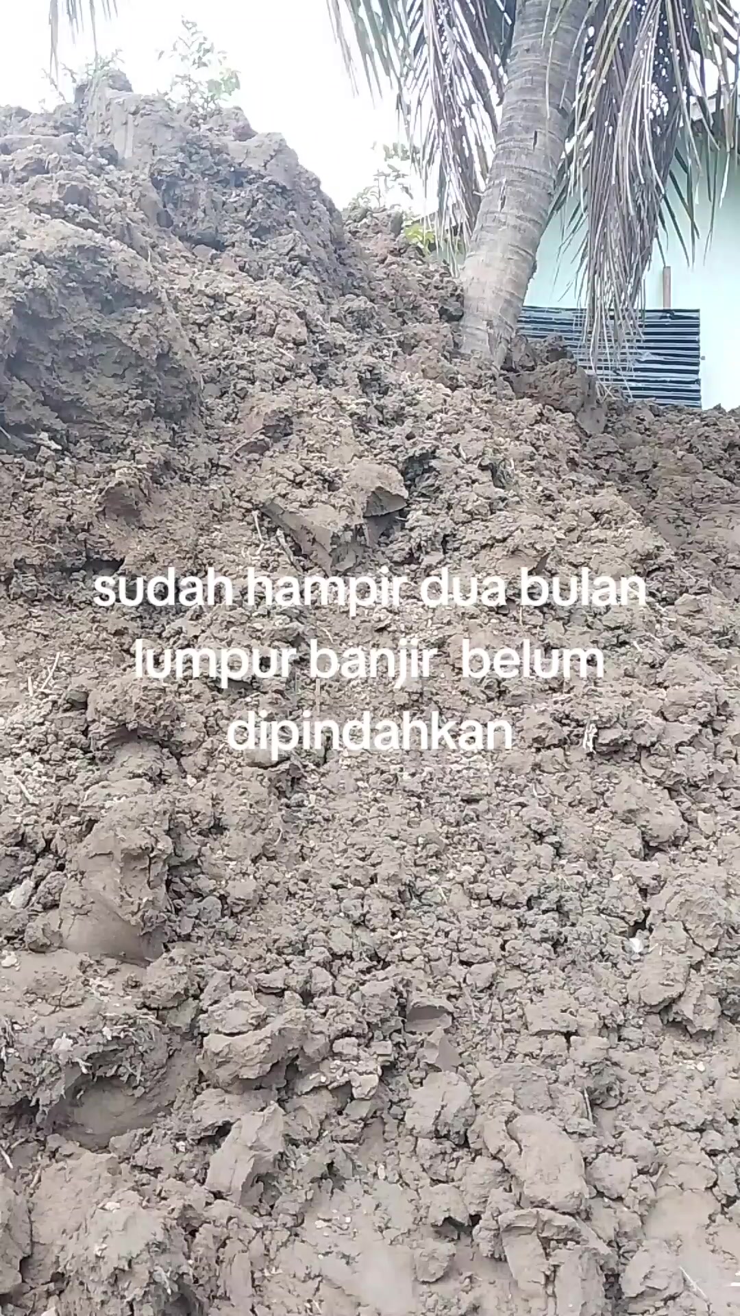 @mustafa bahsin