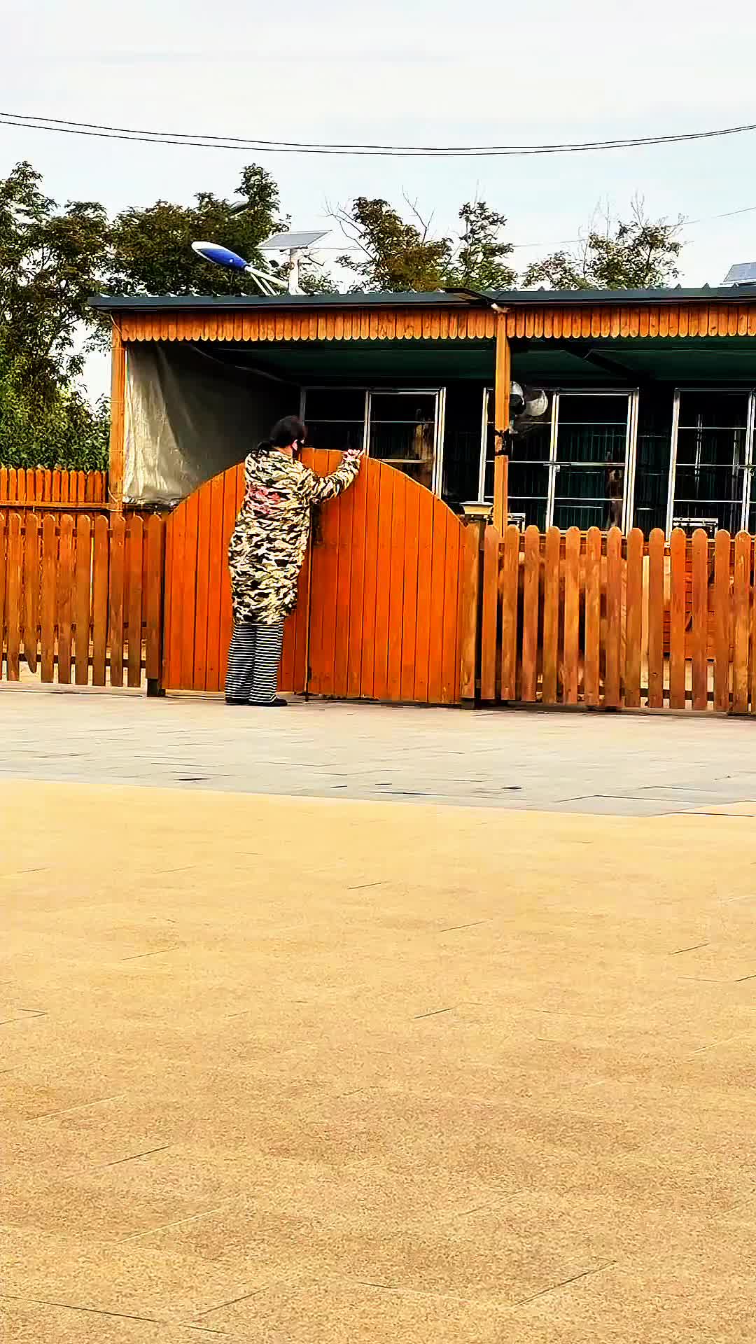 @Dog training &reg;