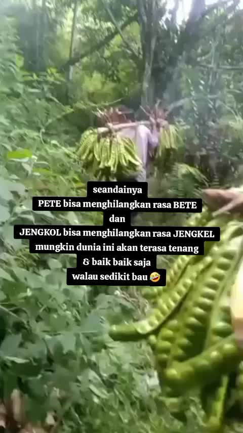 @Mbah Rosso Ngapak