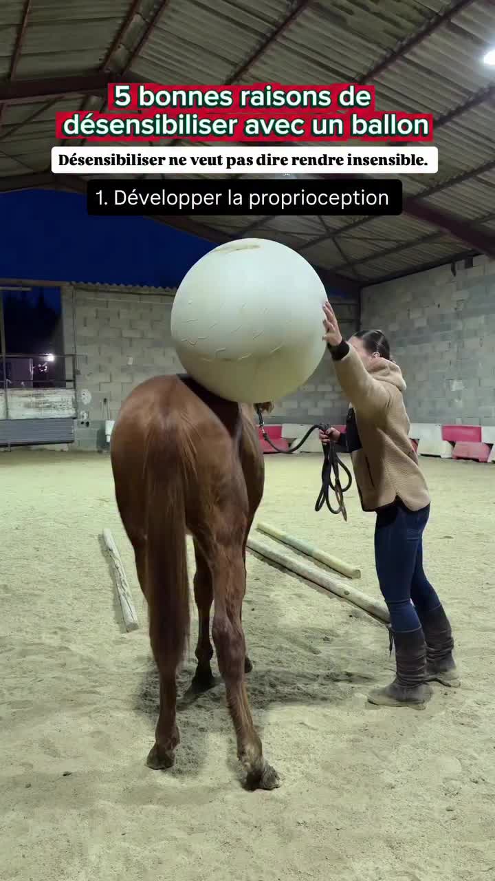 @Ranch Ethic étho