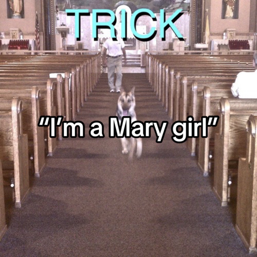 @eviewhichway