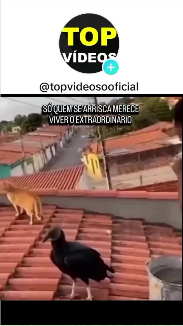 @TOP VIDEOS