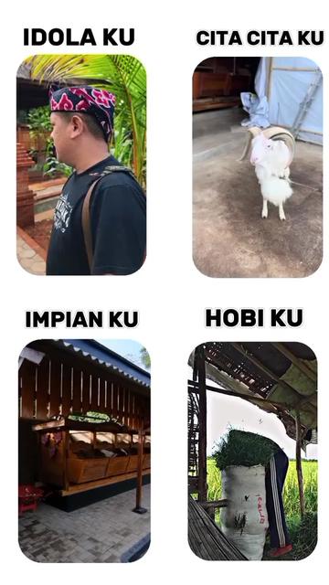 @anak.peternak