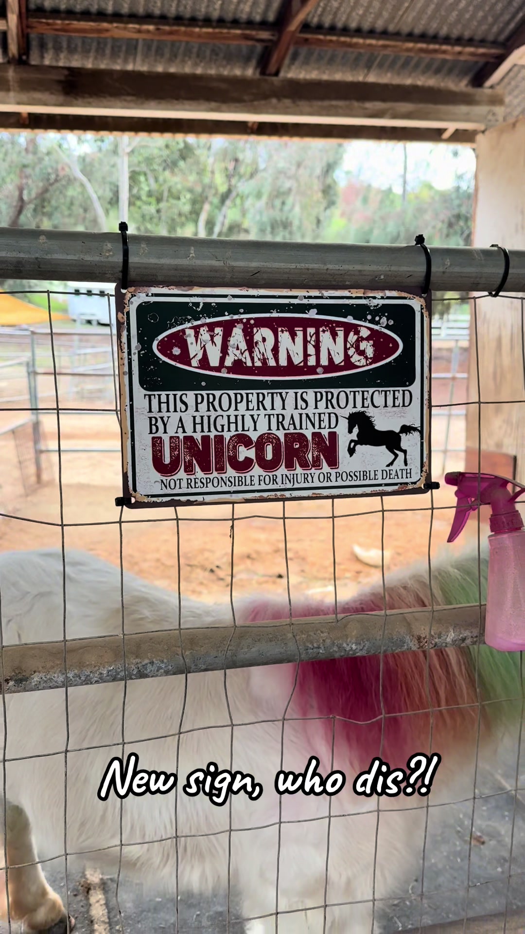@The Posh Unicorn