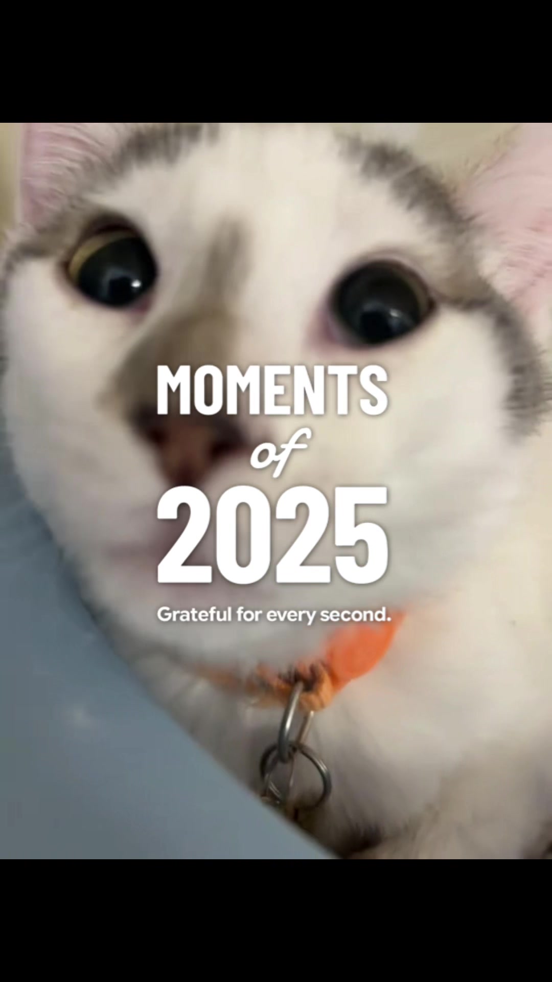 @BNB93😺