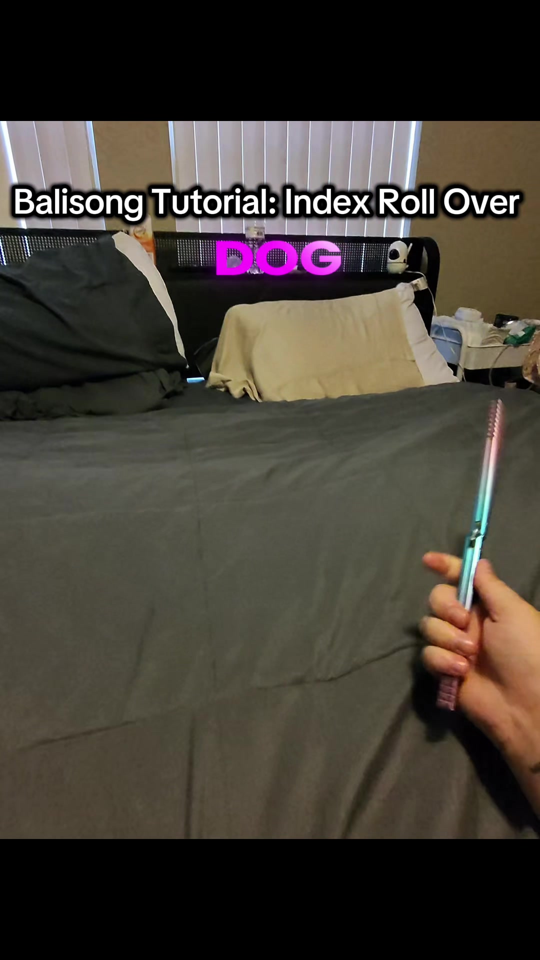 @DevDog