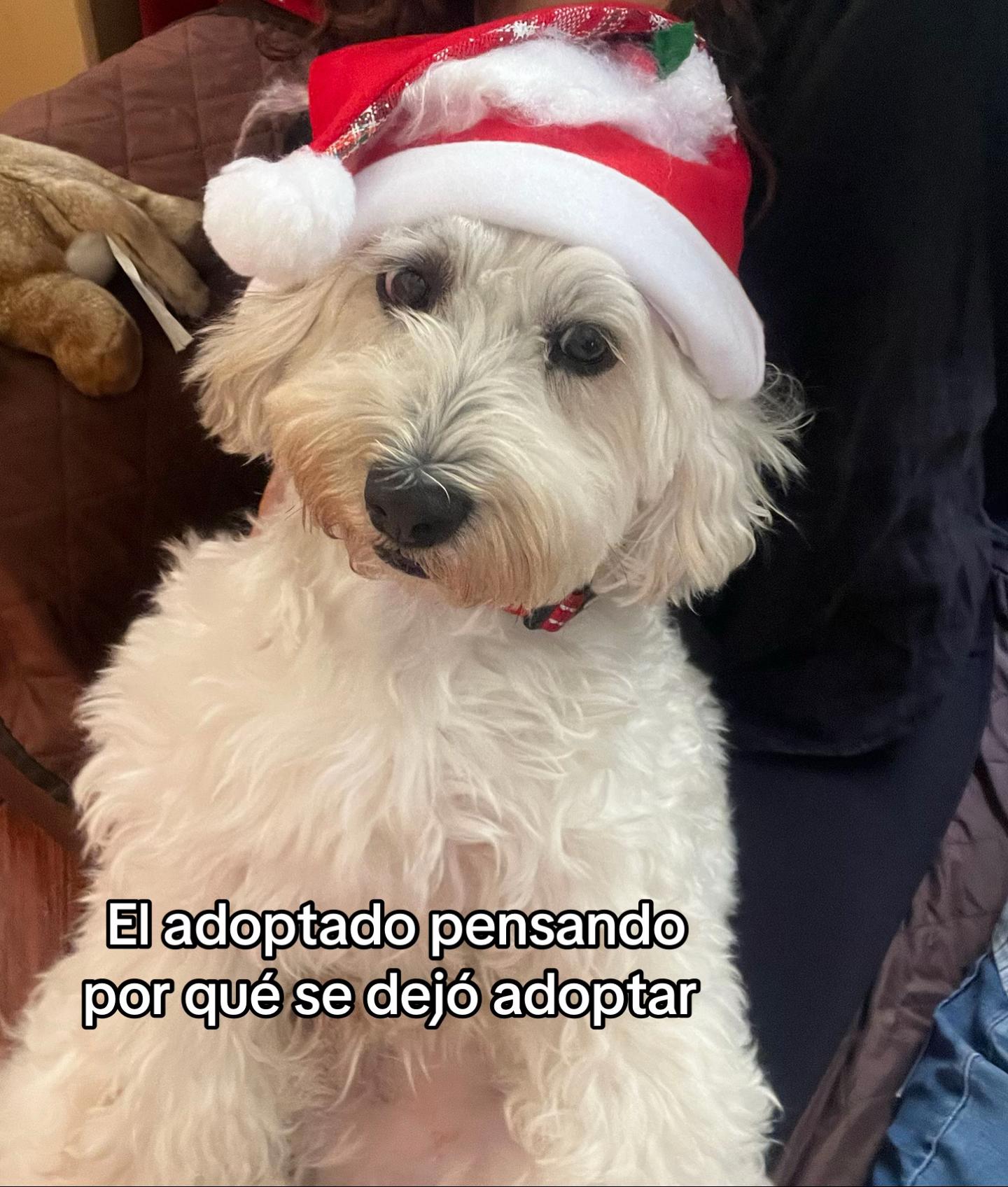 @Ale Ybarcena