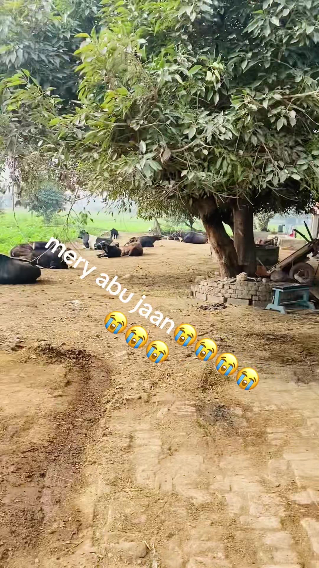 @Ihsan sandhu