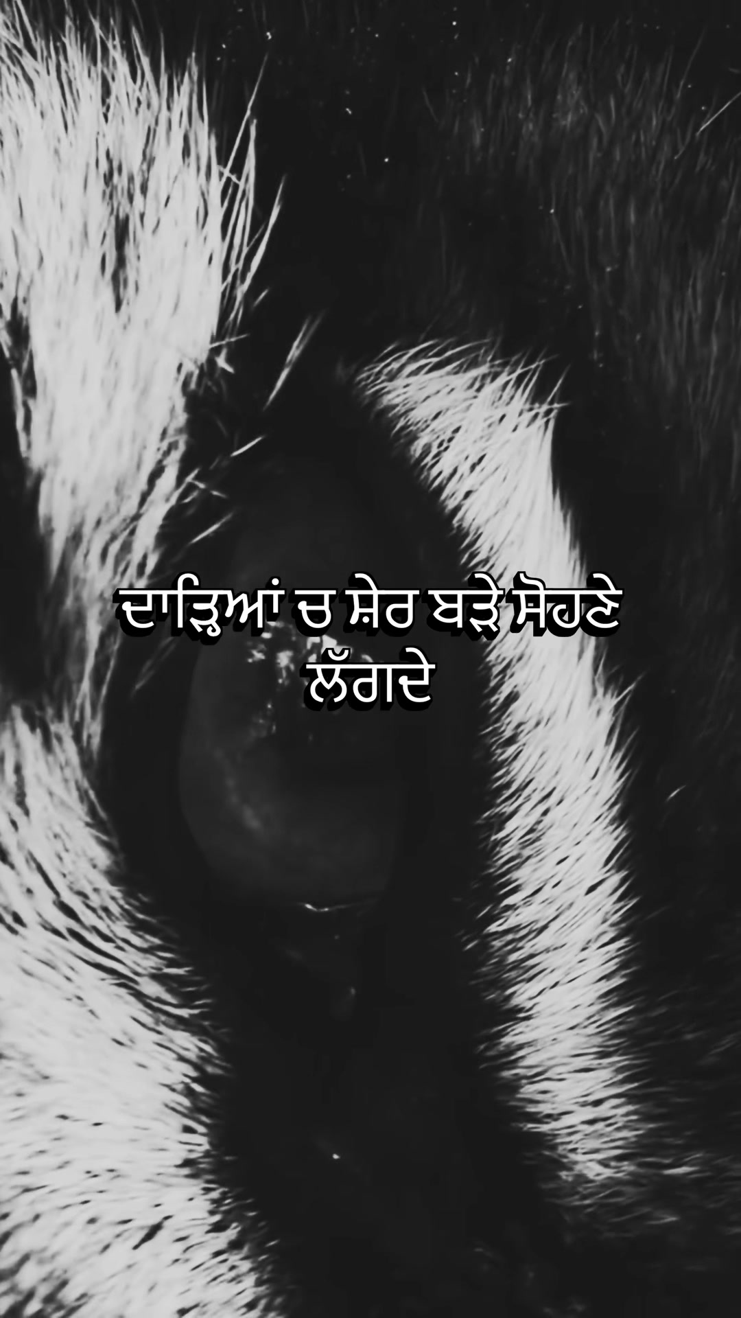 @FreshyHood