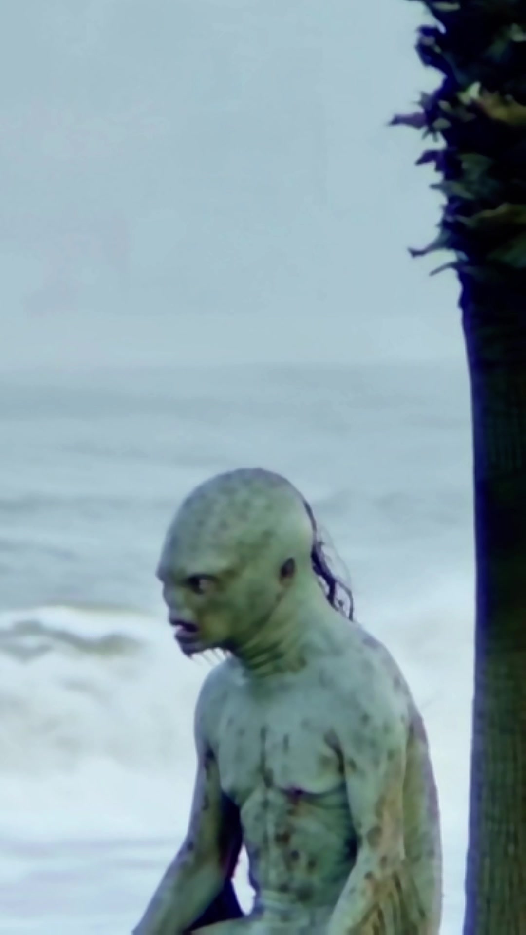 @SwampDiscoveries
