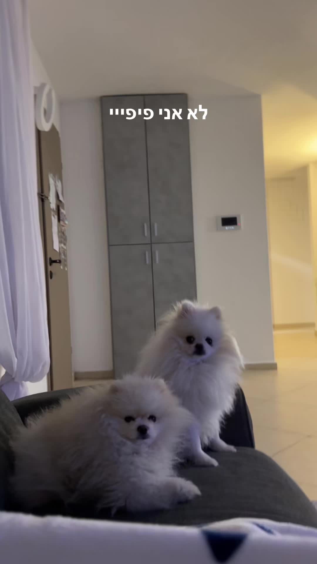 @𝐎𝐫 𝐇𝐚𝐠𝐚𝐲