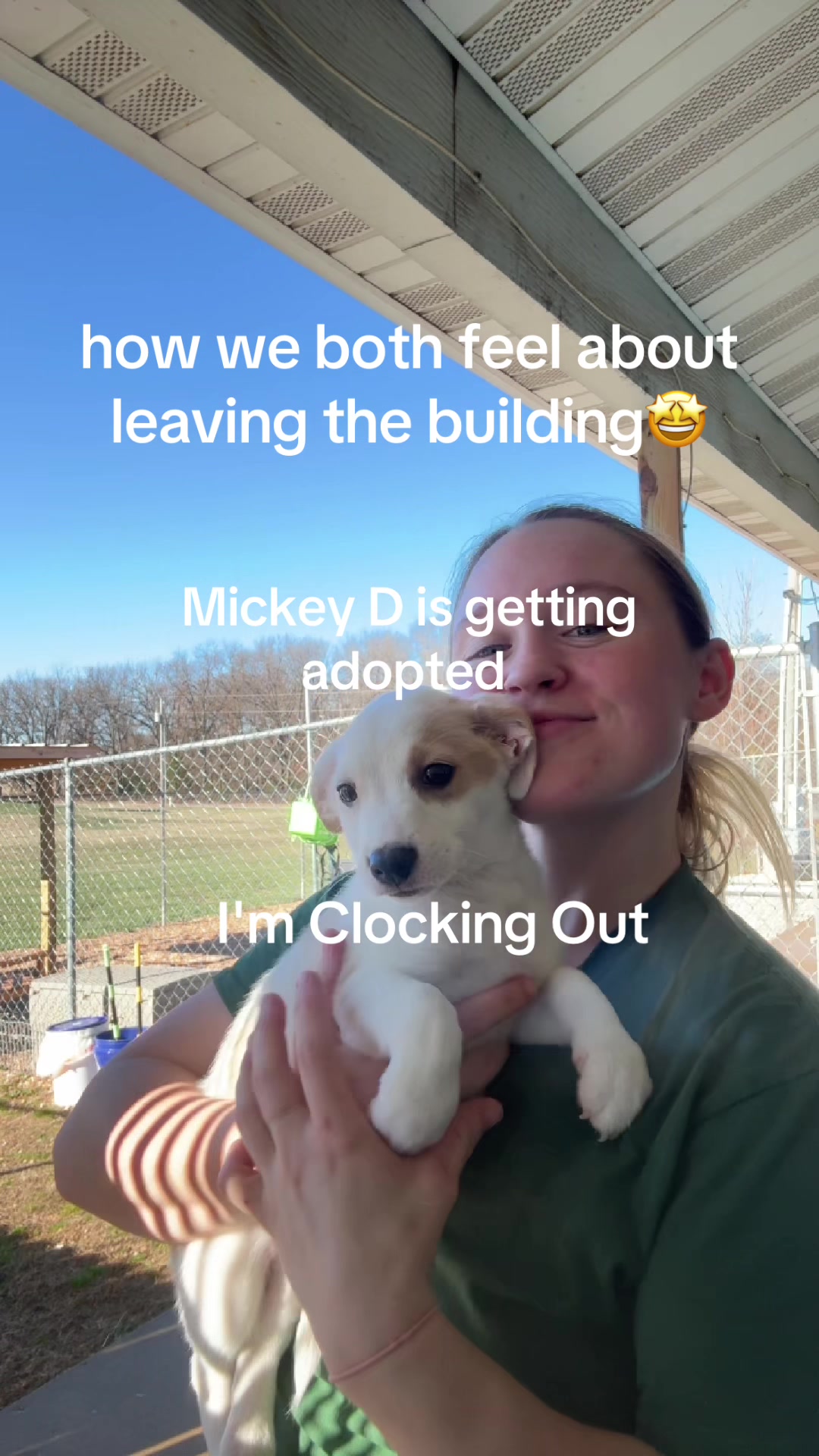 @FaithfulFriendsAnimalAdvocates