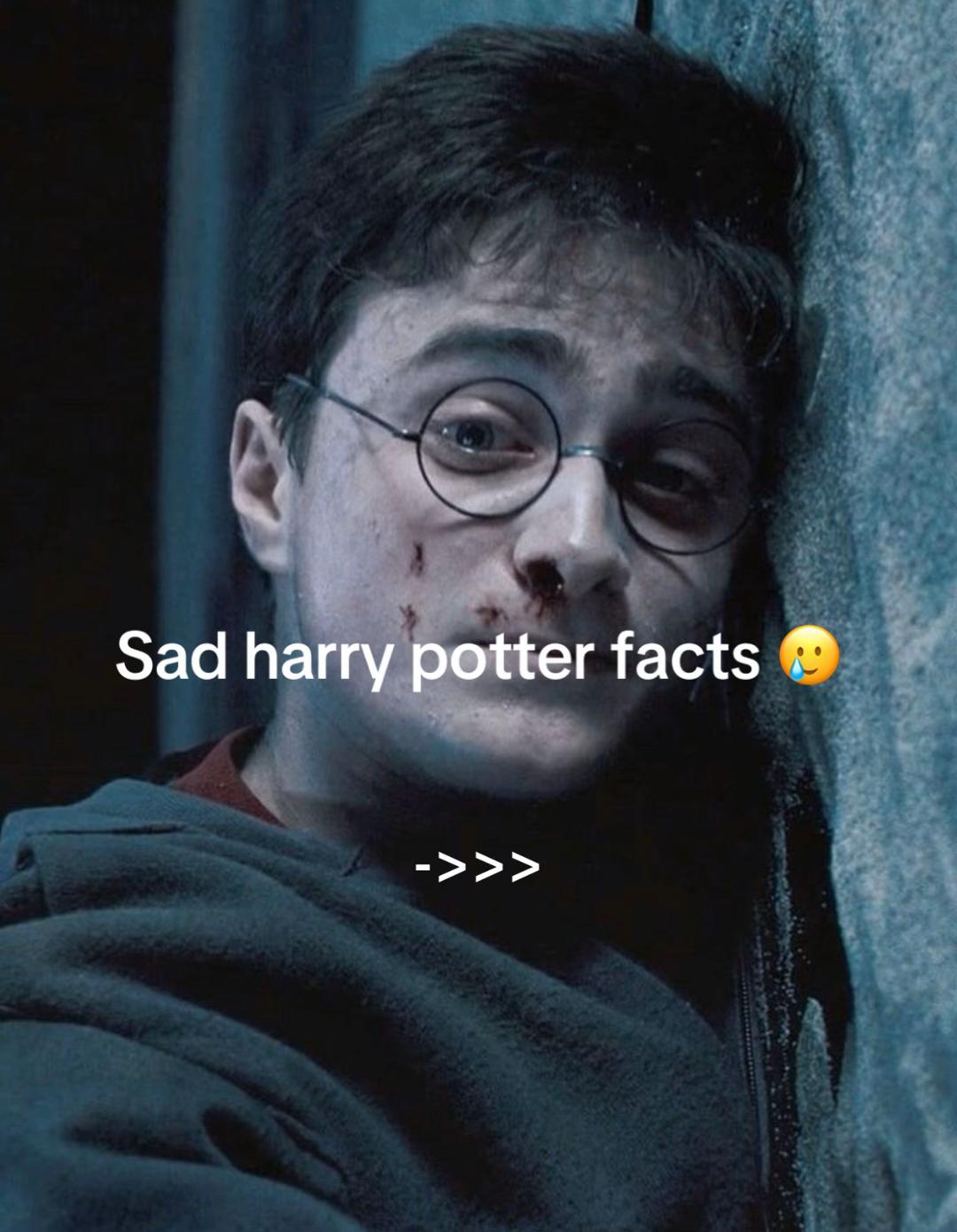 @Just a Potterhead 🫡