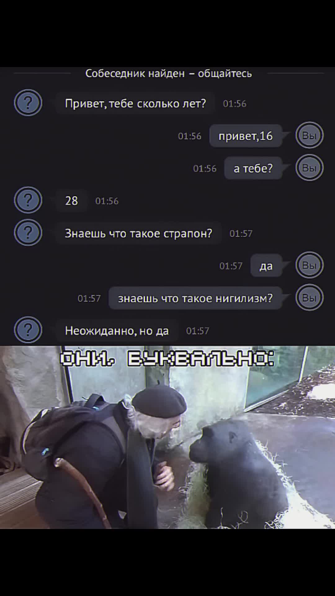 @oxvgeeen