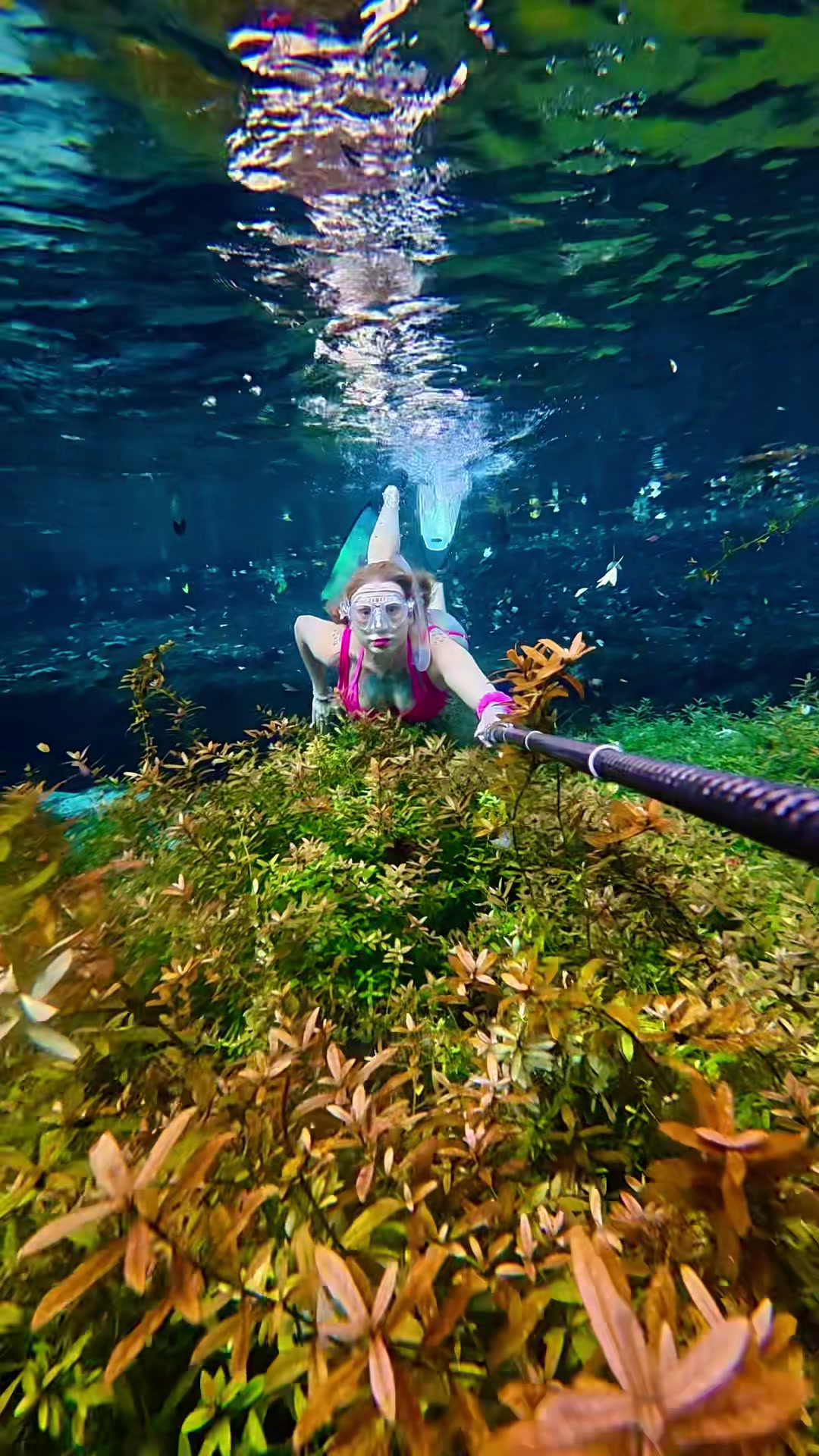 @Coralia Dives 🧜&zwj;♀️