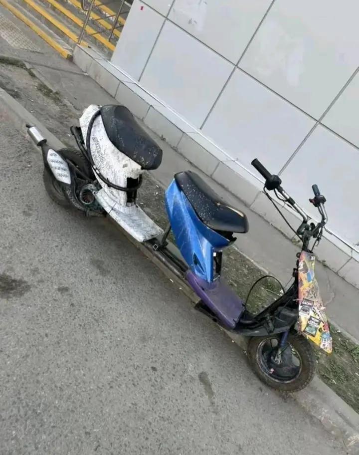 @королевский ВлаDICK XVII 🫩