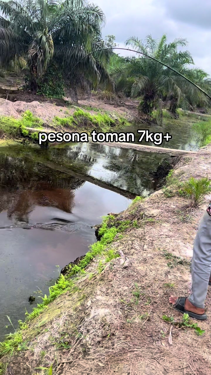 @Bagas ALK