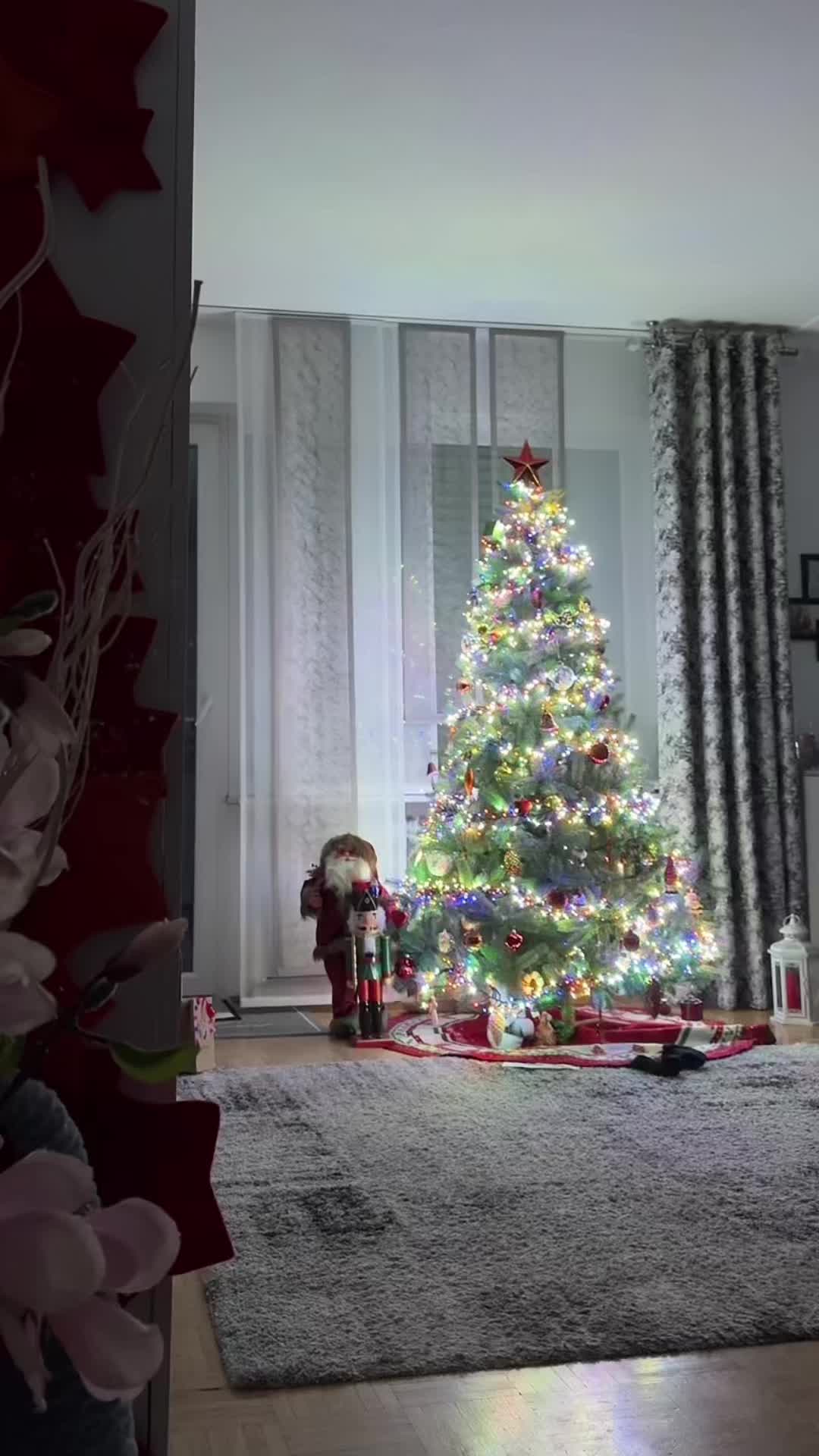 @D. Raga ✨🥊🎅🌹🐓🚪💥🕺