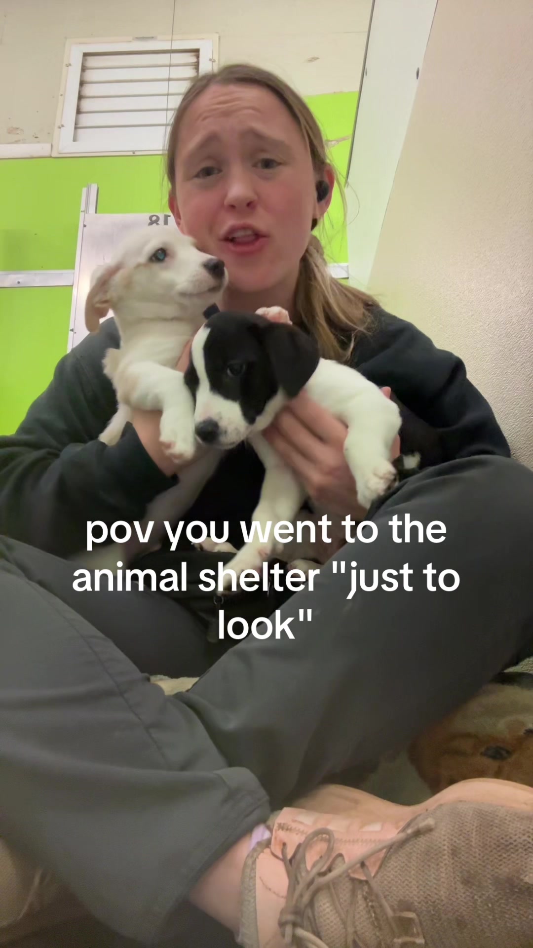 @FaithfulFriendsAnimalAdvocates