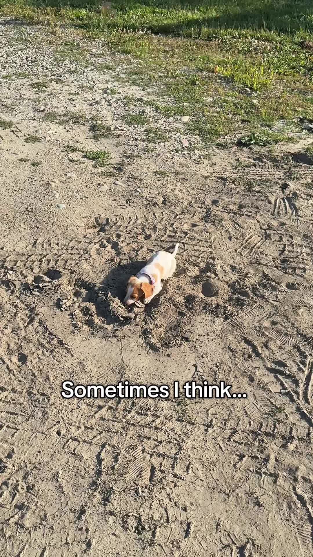 @Autumn