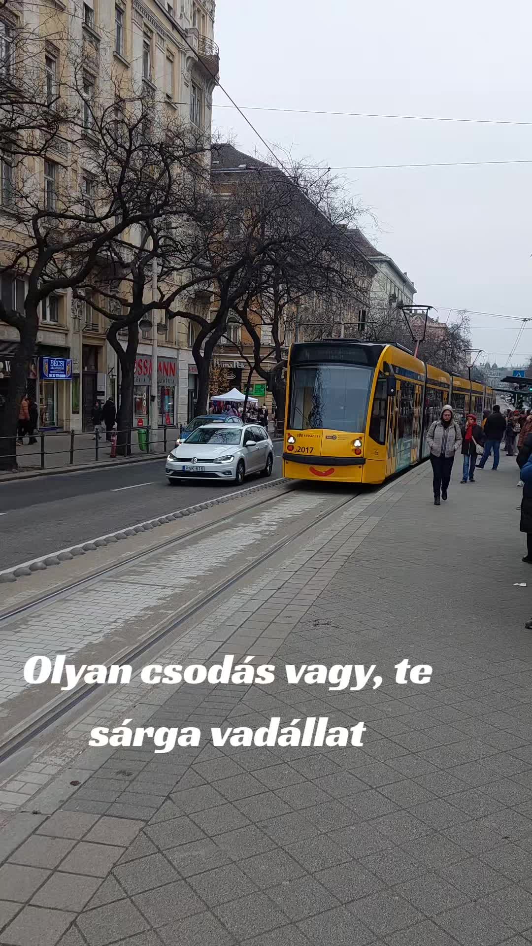 @Kecskem&eacute;ti buszspotter