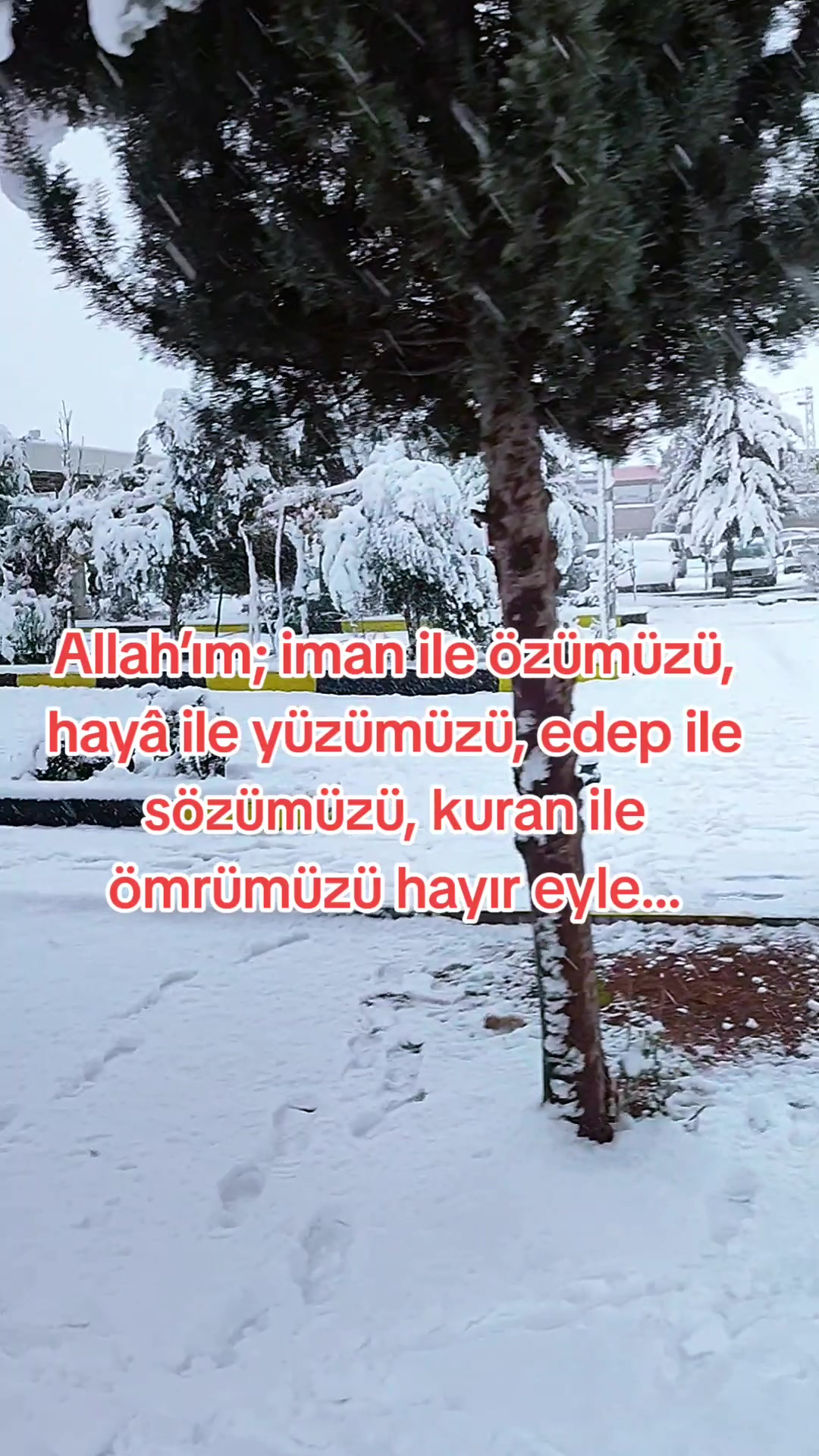 @SABIR YOLU