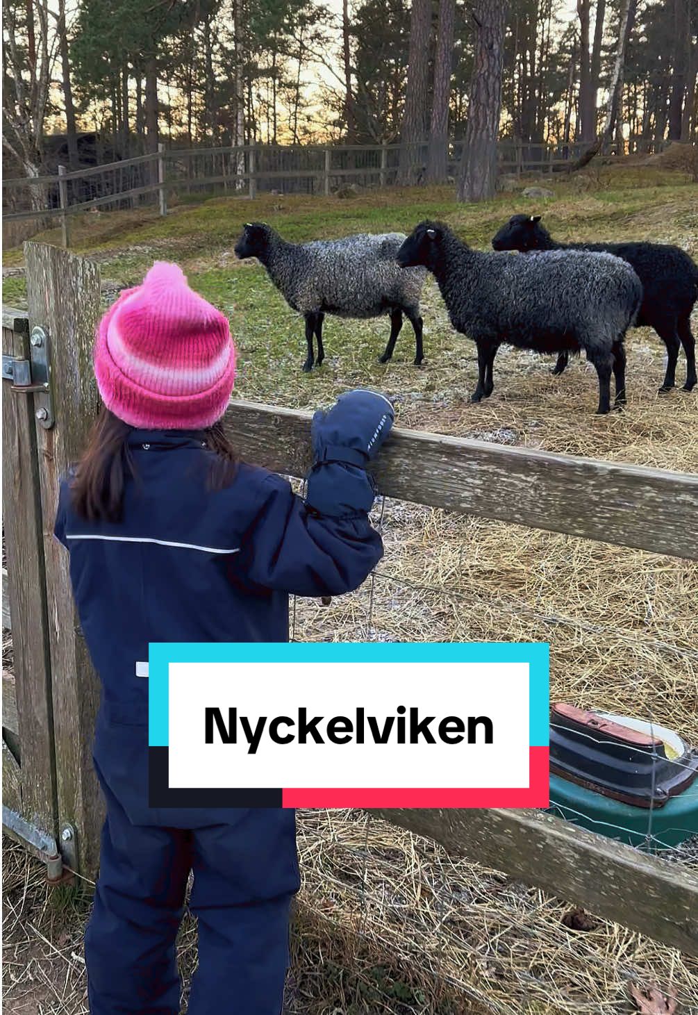 @Familjeutflykter ☀️