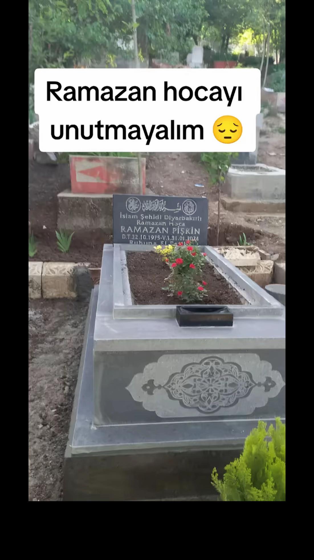 @serdar.vinc