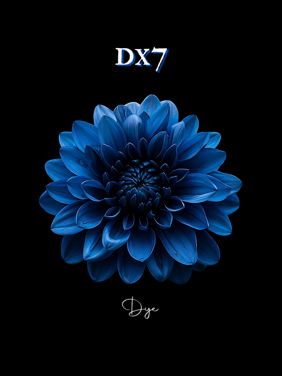 @❦ 𝐀𝐮𝐬𝐭𝐞𝐥