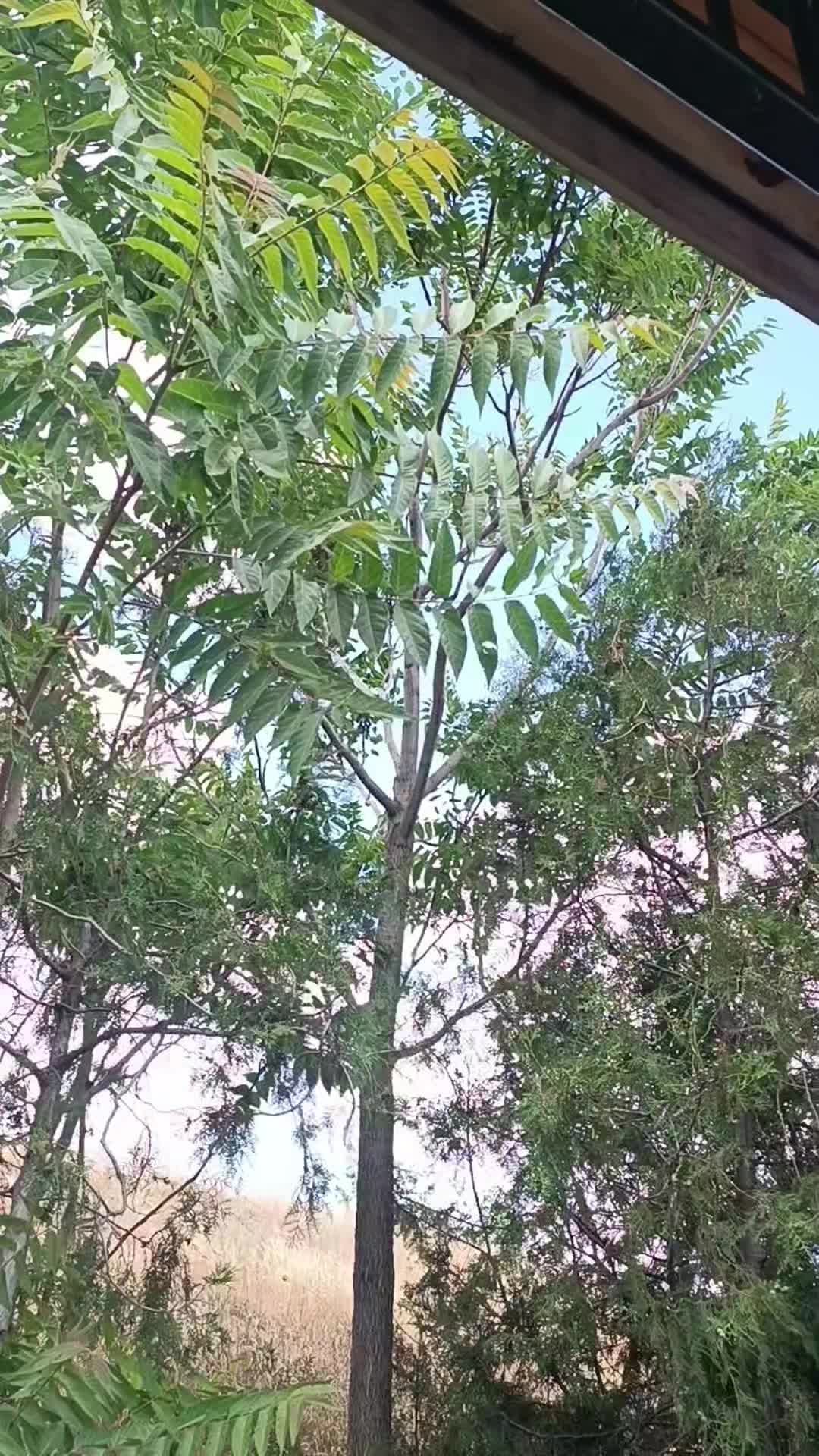 @...