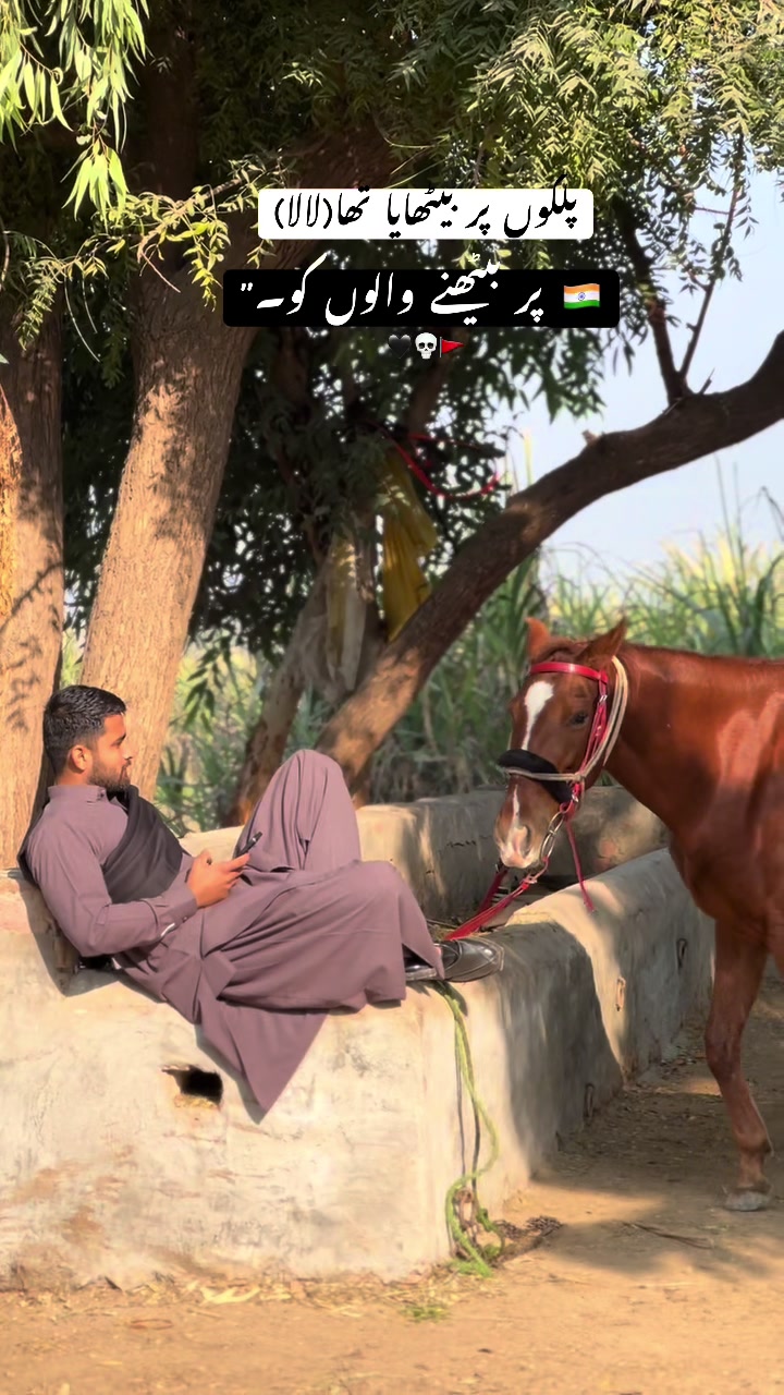 @انس جٹ