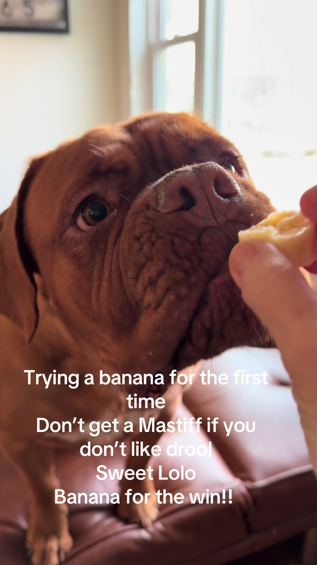 @MovingMamaMayfield
