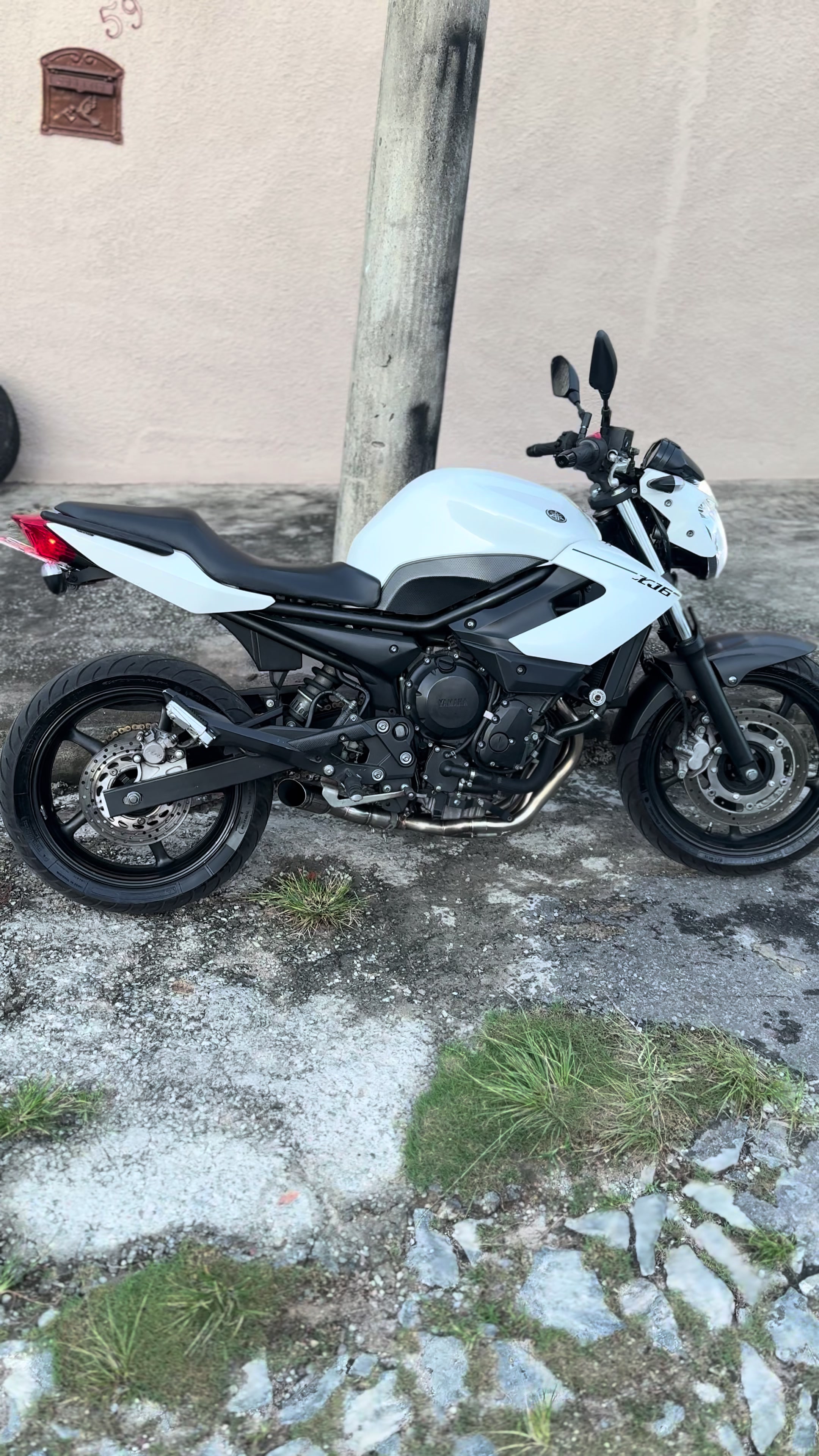 @João Tavares