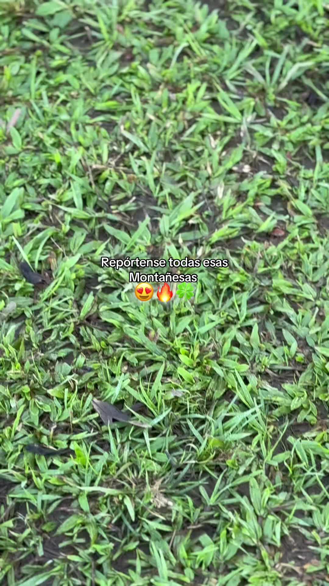 @&Aacute;ngel🧃