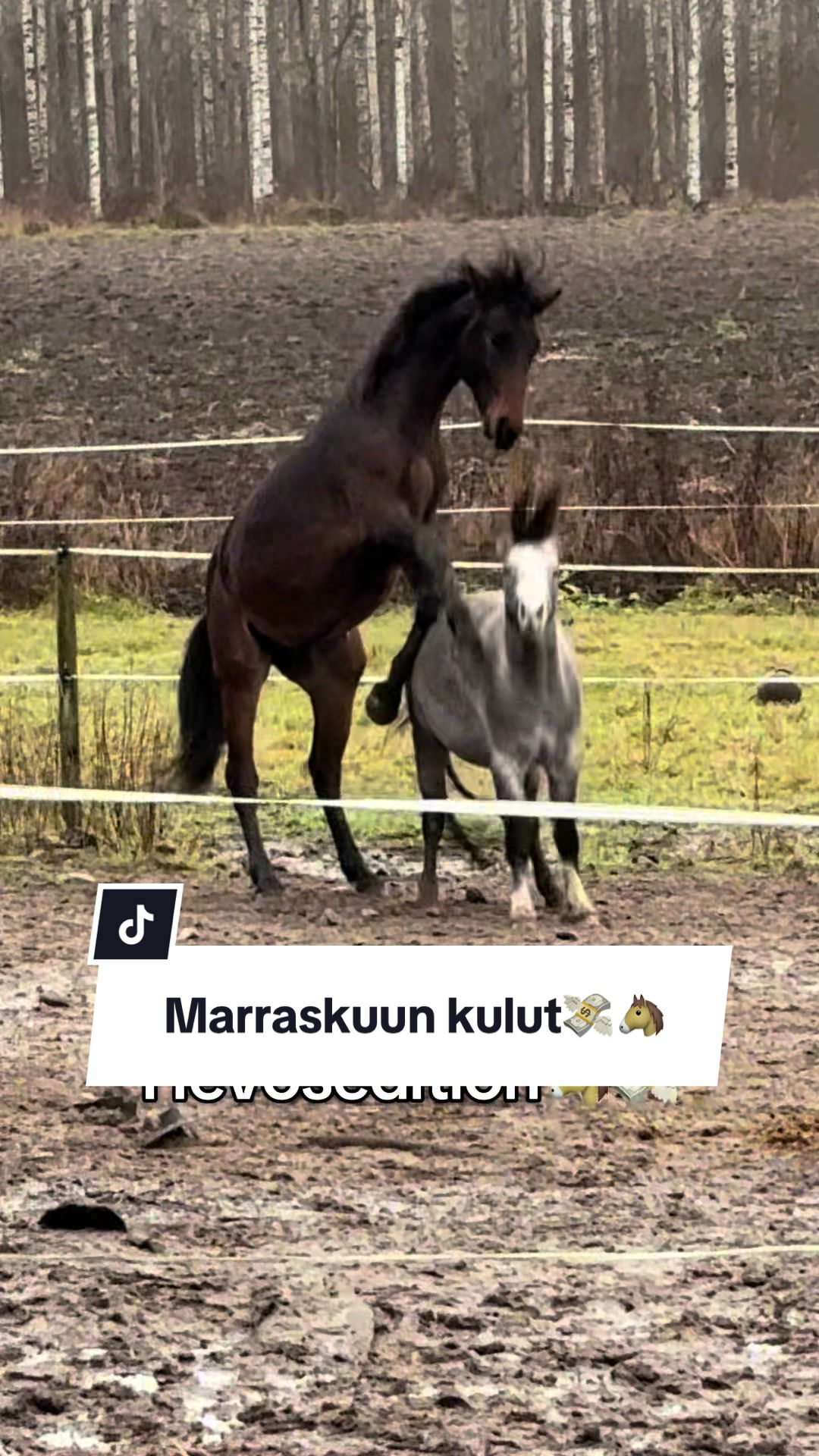 @Mansikkamäki Eventing