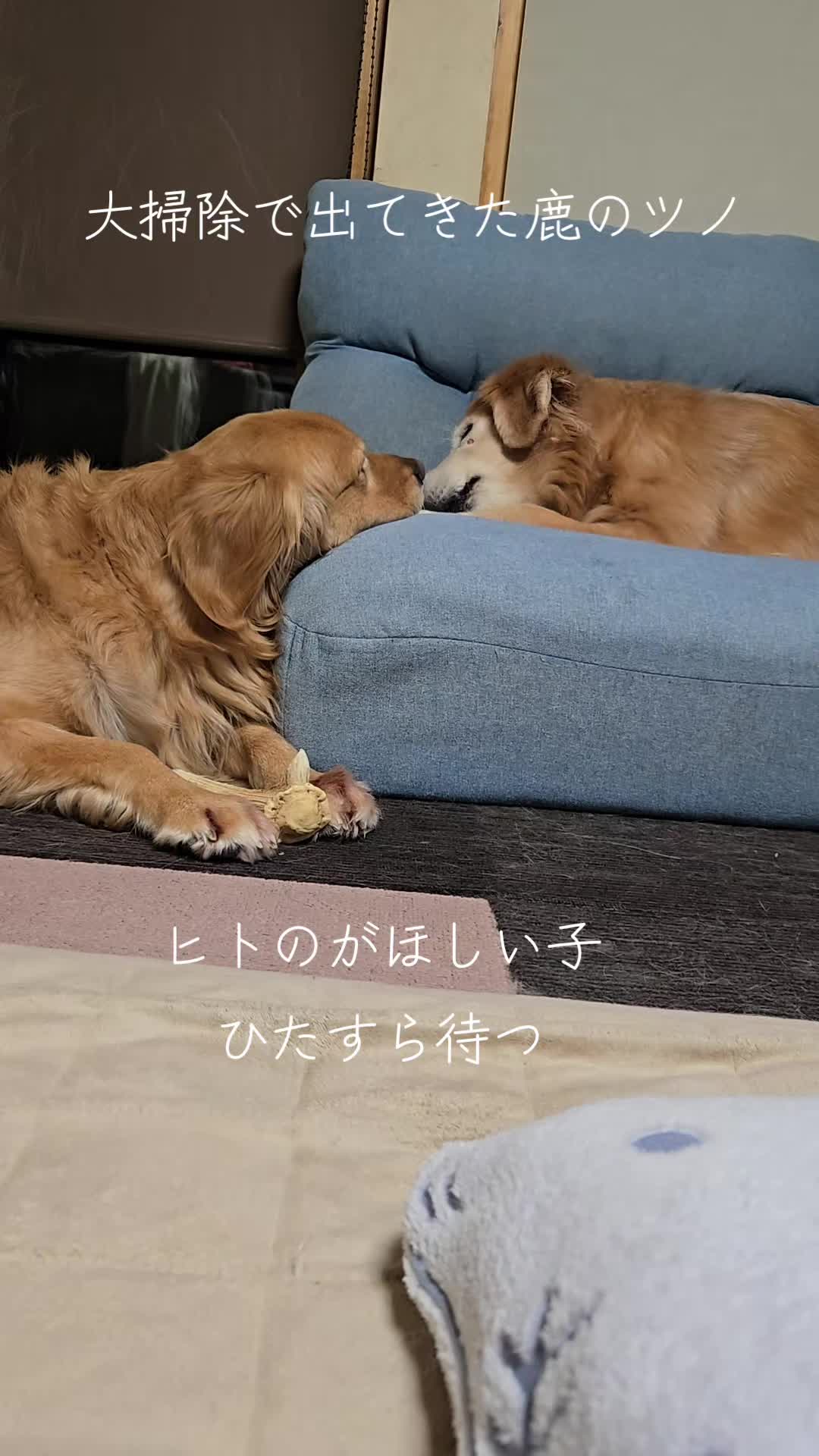 @ナナルナ