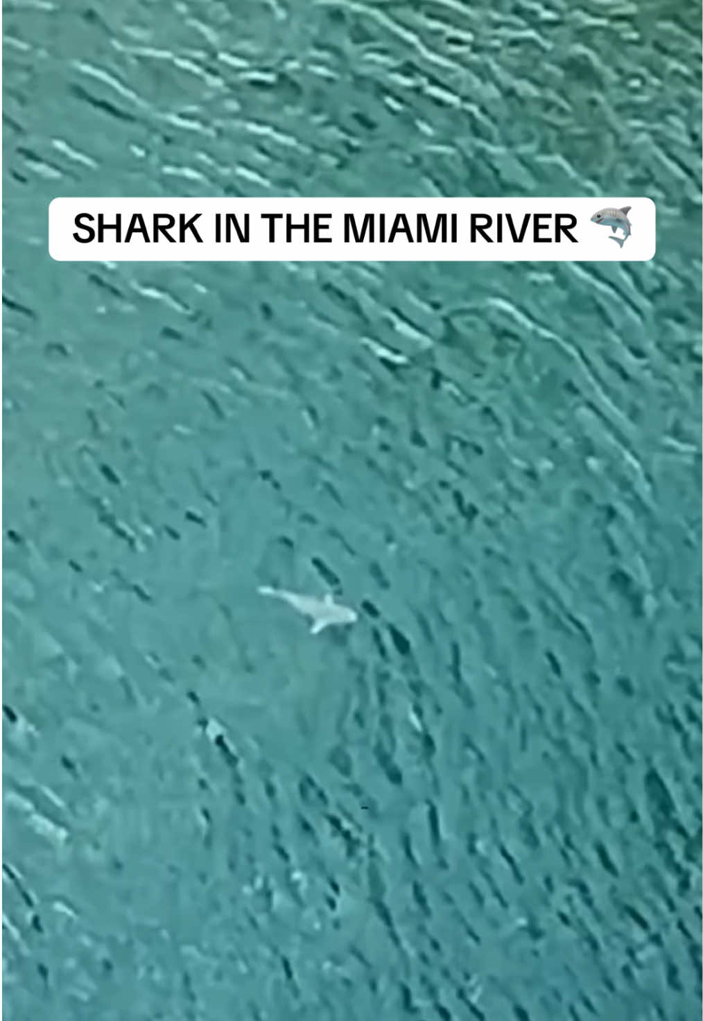 @Miami | Miami Beach