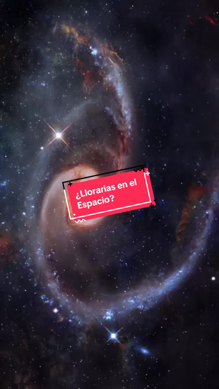 @CurioTemaS
