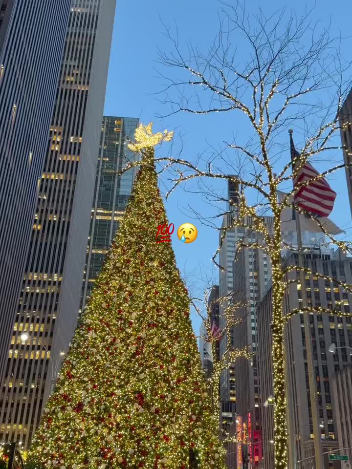 @❤️👸🏻👼🤴❤️