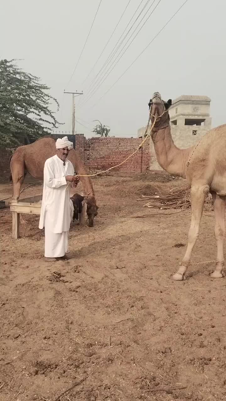 @M.Abbas