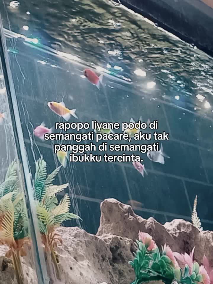 @Ken&bull;km&bull;gpp?