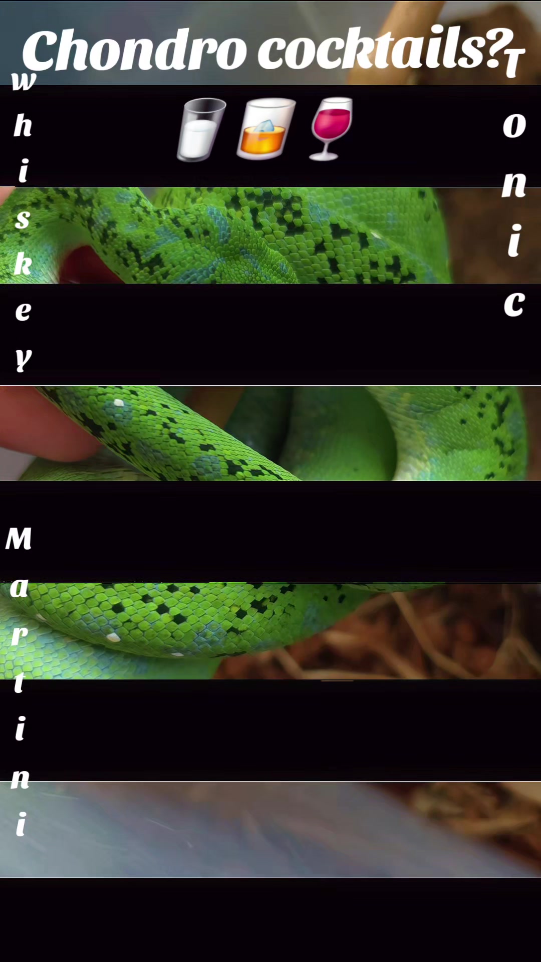 @PyroPythons & Education