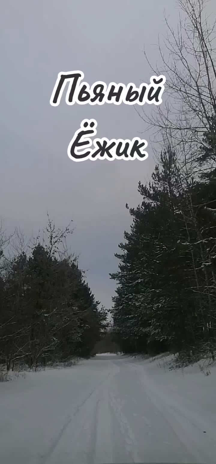 @seregabos
