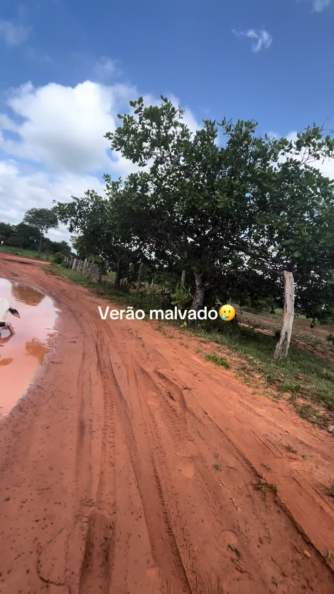 @Anawana Silva