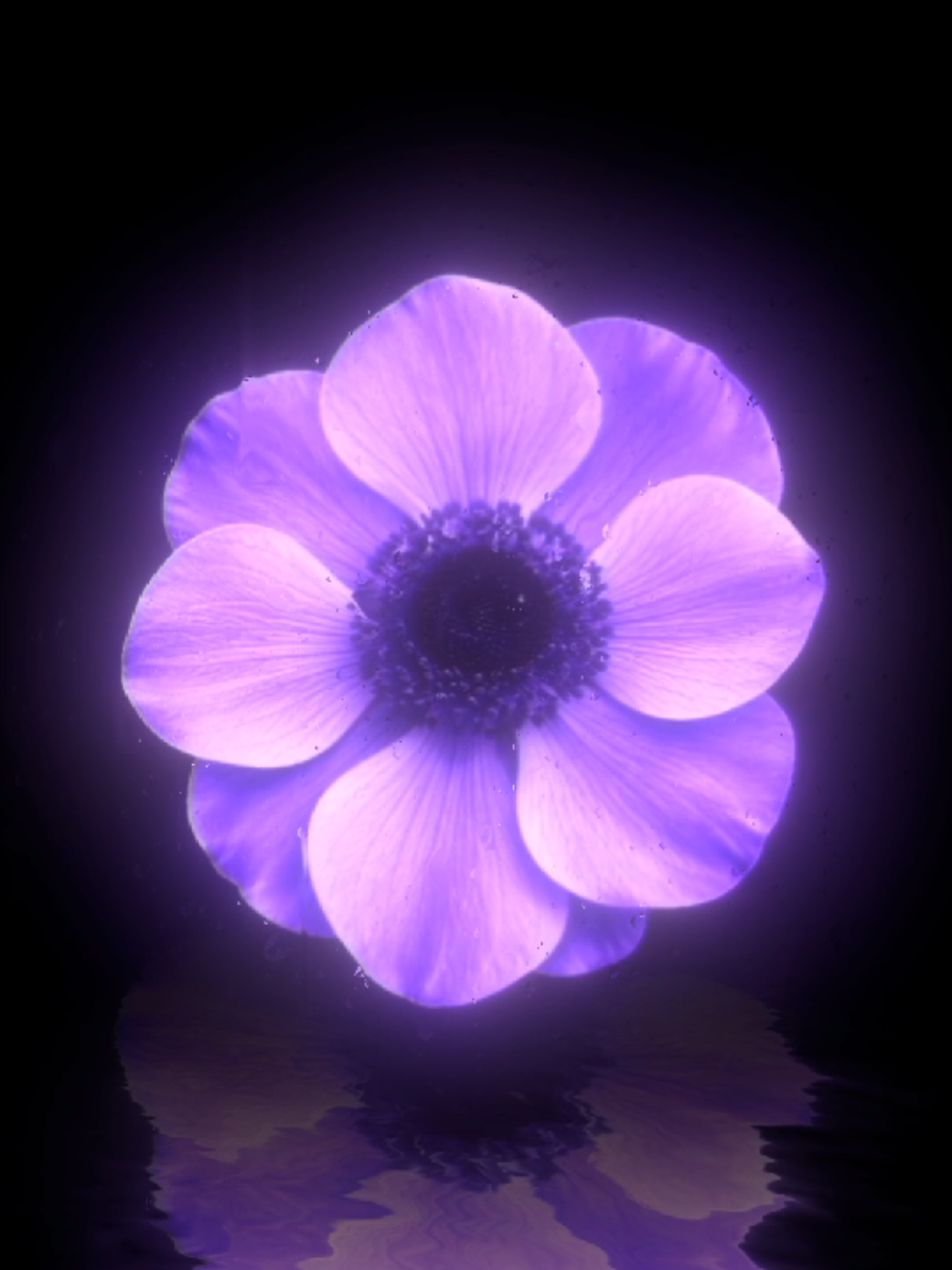 @𝐌𝐔𝐒𝐈𝐂 𝐌𝐄𝐃𝐄𝐑𝐎