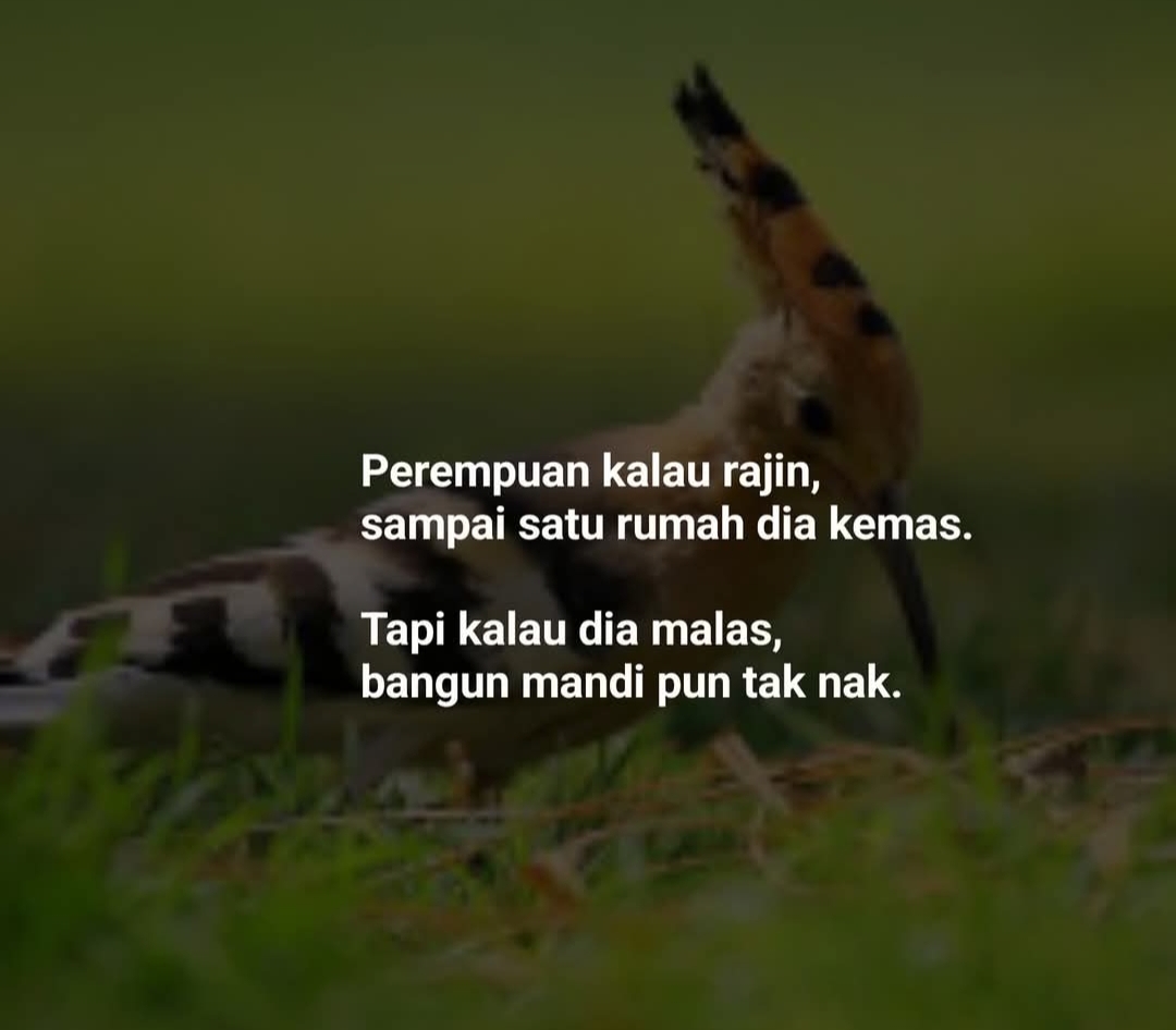 @CEO Abam sweet